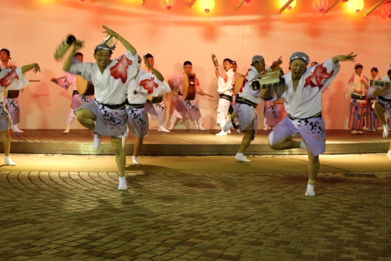 阿波踊り 2014