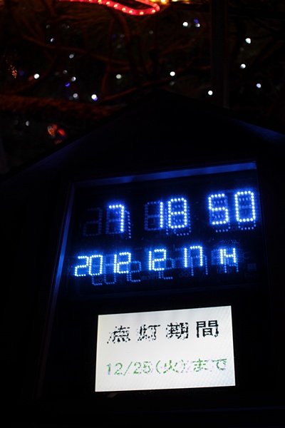 20121217-87.JPG