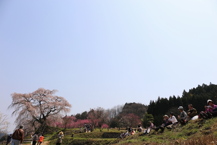 20140410-03.JPG