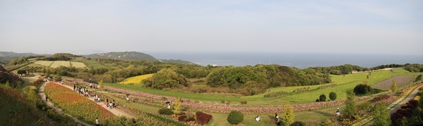 20100503-1.jpg