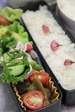 2011年7月7日　お弁当