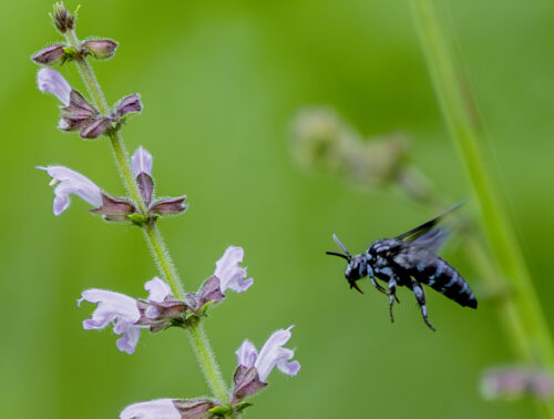 8月 | 2025 | My Pleasure